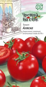 Pomodoro Alaska: descrizione, vantaggi e svantaggi, caratteristiche di coltivazione